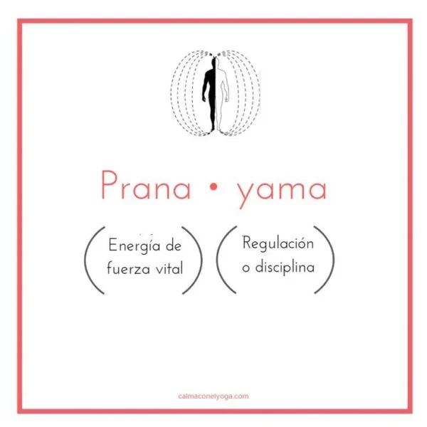 PRANAYAMA SERIES [Bhastrika, Bhramari, Kapalbhati, Kumbhak, Nadi Shodhana, & Ujjayi Pranayama [Dynamic Morphic Field]