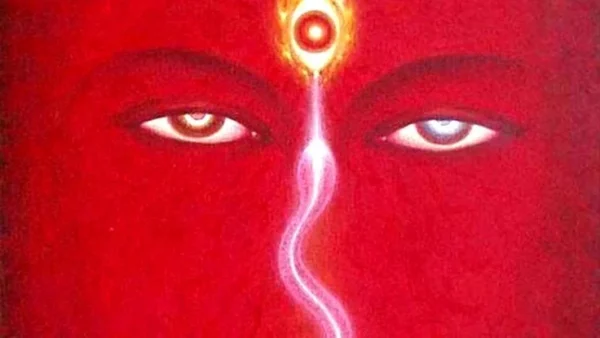The Ultimate SR & Life Force Mastery [Dynamic Morphic Field]{FOR MALE USERS}