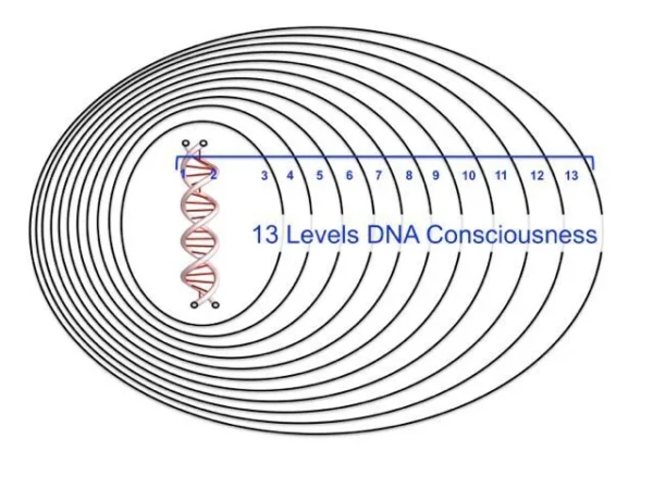 DNA Activation – 13 Levels of Sacred DNA Consciousness Through Mantric Resonance [Dynamic Morphic Field]