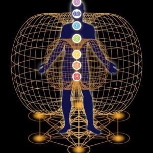 Human Baseline Restoration System | Energetic Detoxification & Consciousness Recalibration | Premium Morphic Field | Dynamic Energy Field